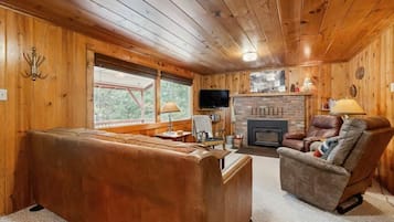 Télévision, cheminée, livres