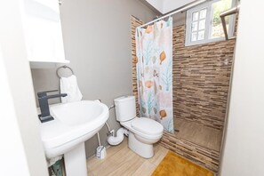Regadera, toallas, jabón, papel de baño