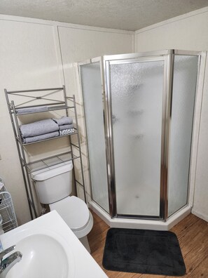Shower, hair dryer, towels, soap - Cozy 1 room tiny home studio  in lovely Breckenridge with covered front porch! (Breckenridge)