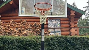 A basketball hoop in front of a log cabin with a window displaying the word "SPREADING." - Charming Private Suburban Cottage, Serene & Cozy (Mount Vernon)