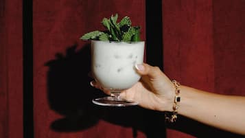 Una mano sostiene una taza blanca con una planta sobre un fondo rojo.