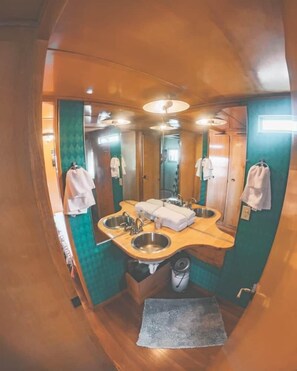 Bathroom - Silvia The Spartan - Private Hot Spring Vintage Camper (Truth or Consequences)