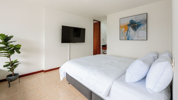 A modern bedroom with a large bed, a flat-screen TV mounted on the wall, a potted plant, and a piece of abstract art. - Apartamentos SETAI (Medellín)
