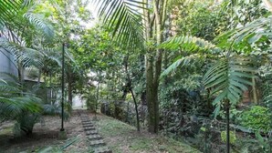 A pathway through a lush garden with various plants and trees. - Apartamentos SETAI (Medellín)