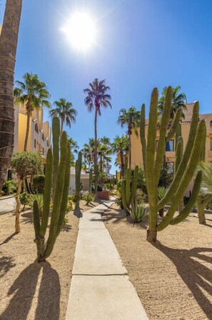 Property grounds - Renovated | Golf Views | 3 Pools | Near Beach (San Jose del Cabo)