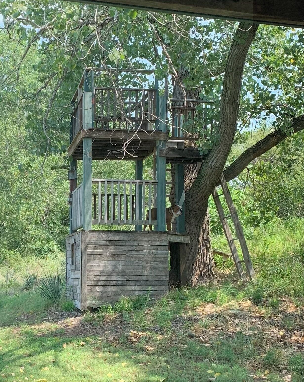 Áreas de la propiedad