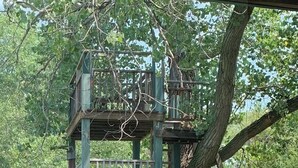 A wooden treehouse with a platform and a ladder, surrounded by trees and grass. - Cedar Ridge Ranch Barndominium/Cozy Rustic 3-Bedroom with Wood-Burning Stove (Hutchinson)