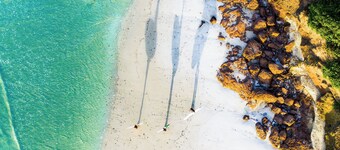 Pacific View - Pet Friendly