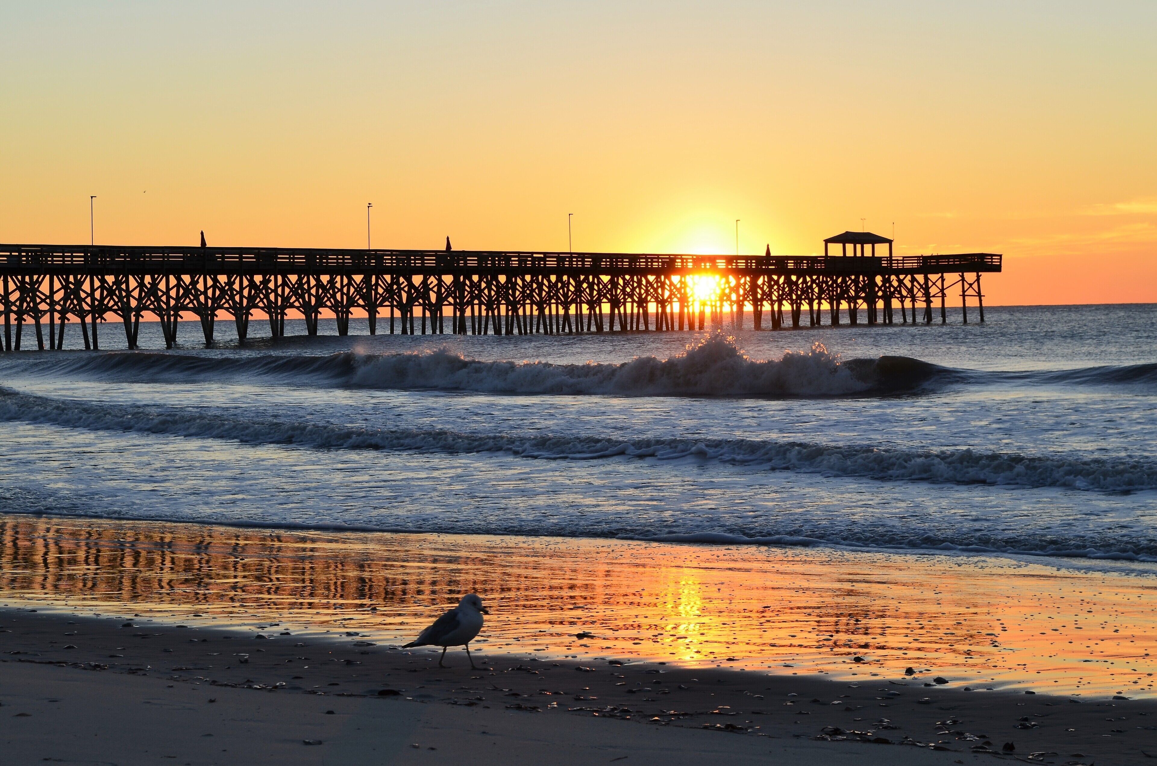 On the beach, sun loungers