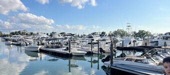 Sun Sea Sarasota