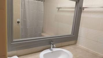 Regadera, toallas, jabón, papel de baño