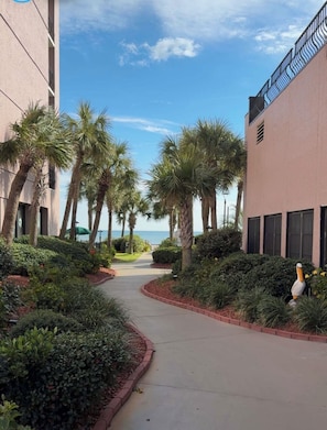 Property grounds - Coastal Escape with Stunning Ocean Views Directly on Beach Renovated King Suite (Myrtle Beach)
