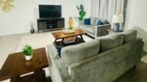 A living room with a grey sofa, a coffee table, a TV, and a plant. - Opossum Trail (New Braunfels)