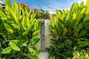 Basic Villa | Property grounds - Villa Sapta (Cemagi)