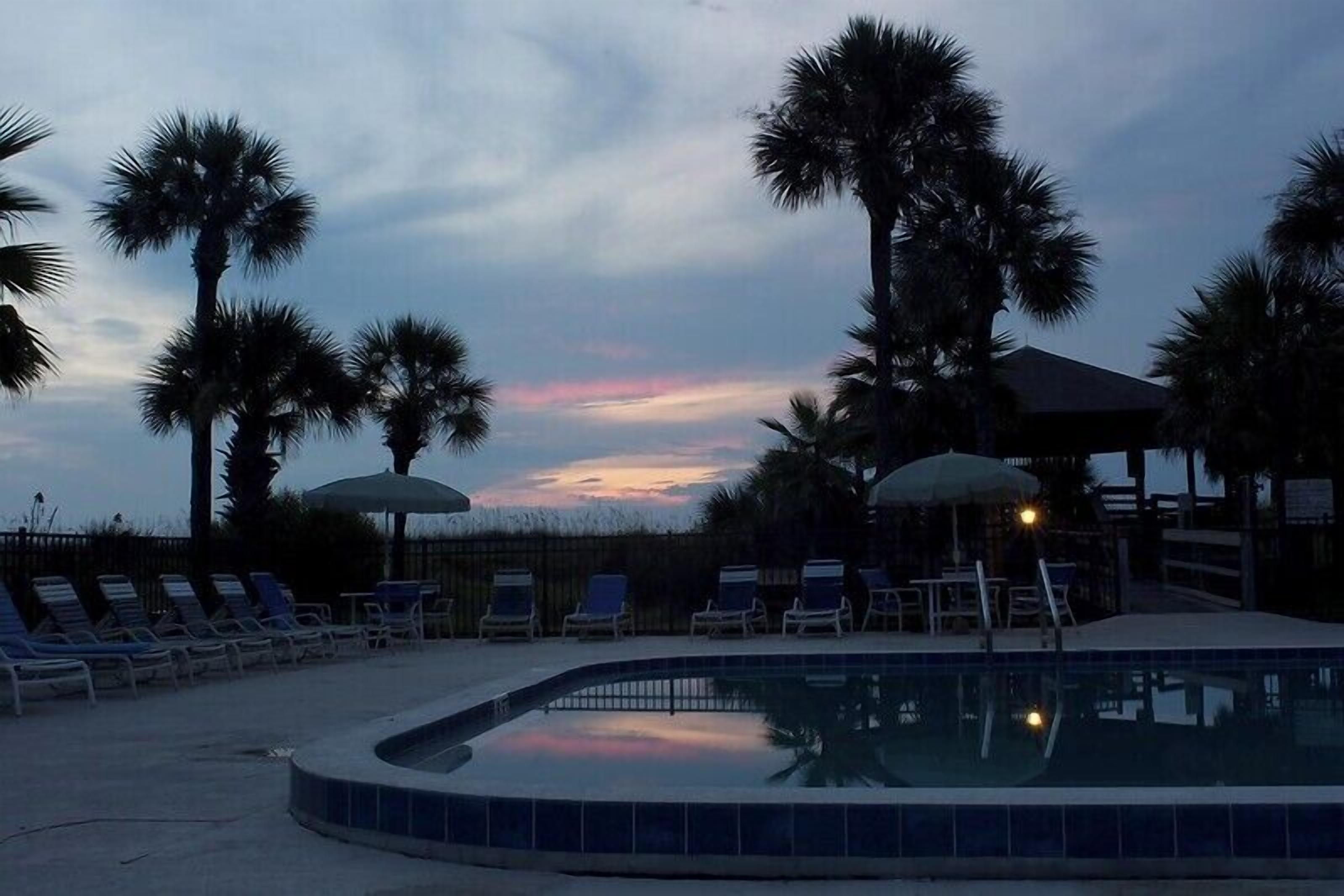 A poolside area with lounge chairs and umbrellas, surrounded by palm trees.