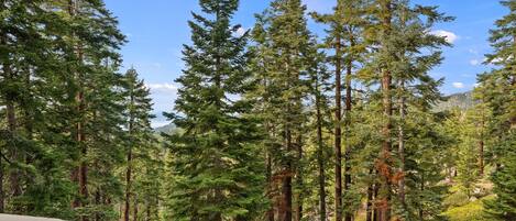 Another look at the exterior view, with trees, railing, hills, and sky.