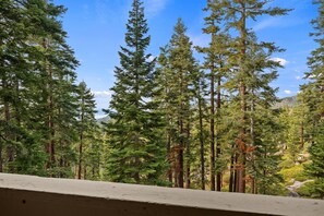 Interior - Modern Tahoe Retreat | Remodeled Near Skiing | HNC0658 (Stateline)
