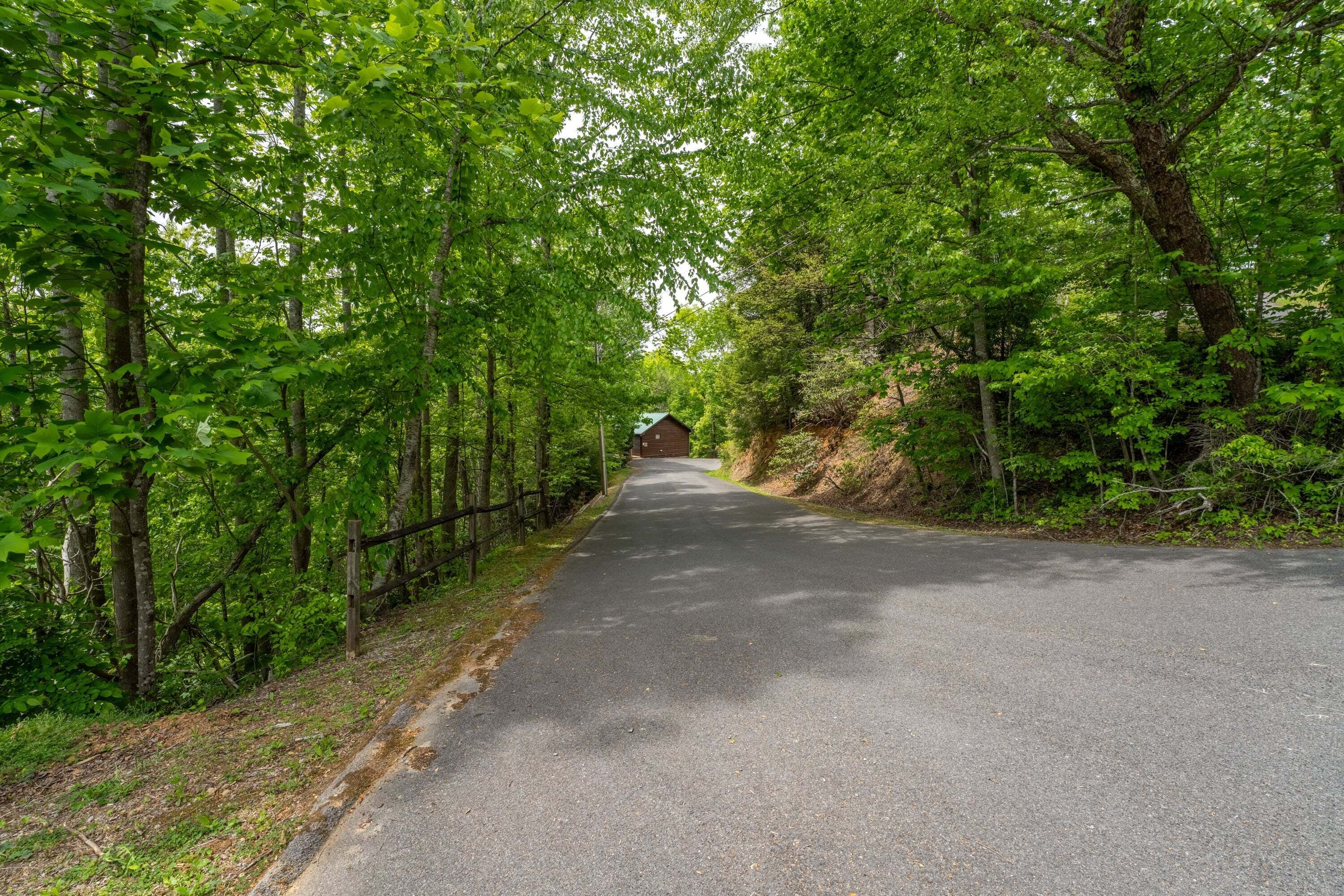 A paved road flanked by dense green foliage, leading to a building with a green roof.