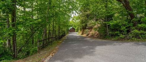 A paved road flanked by dense green foliage, leading to a building with a green roof.