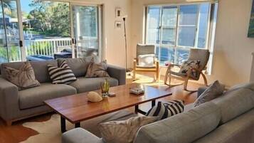 TV, computer monitors