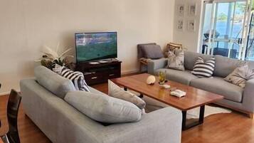 TV, computer monitors