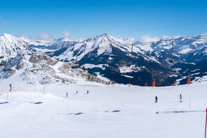 The Leysin - Les Mosses - La Lécherette ski area - Hotel Relais Alpin Twin Room & Balcony 1 132 summer mode, Les Mosses, Switzerland (Les Mosses)