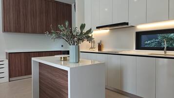 Fridge, microwave, oven, coffee/tea maker