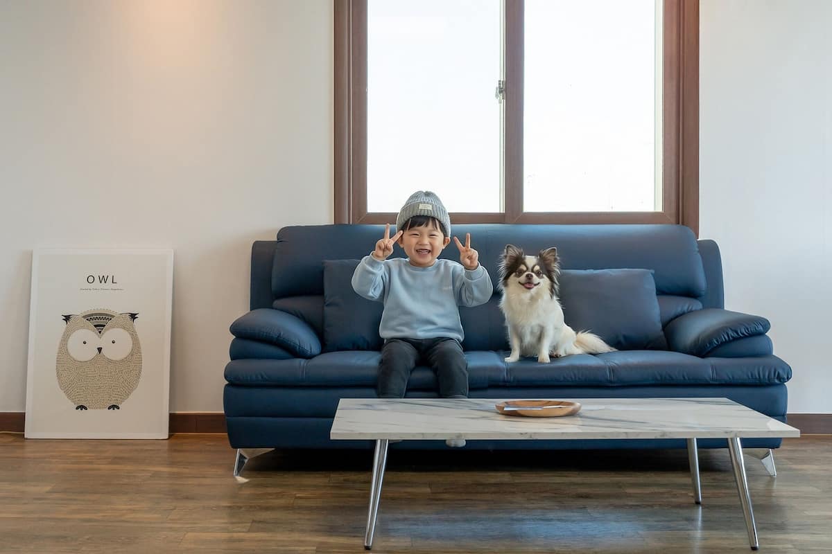 A child and a dog on a blue sofa with a framed owl artwork and a small table with a bowl.