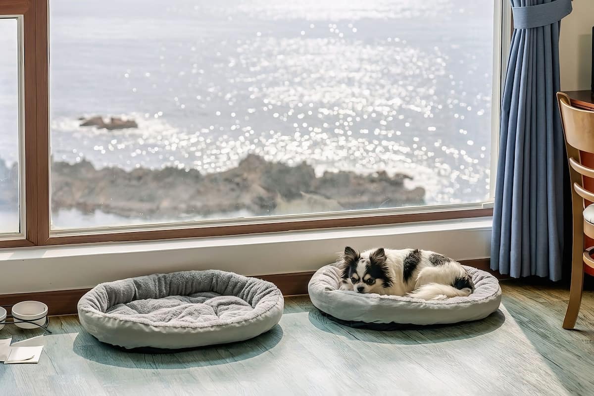 Basic Room, 1 Bedroom (Room 301 (Ocean View)) | 1 bedroom, free WiFi