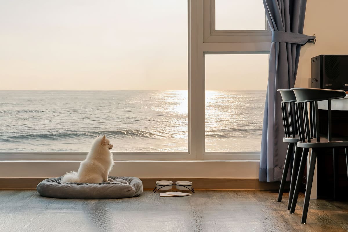A room with a large window overlooking the ocean, a dog bed, a pair of glasses, and a chair.