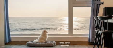 Basic Room, 1 Bedroom (Room 203 (Ocean View))