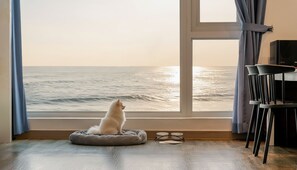 Rom – basic, 1 soverom (Room 203 (Ocean View)) | 1 soverom og wi-fi (inkludert)