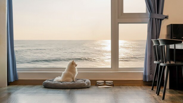 A room with a large window overlooking the ocean, a pet bed, a pair of glasses, and a chair. - Haru Stay Donghae (Donghae)