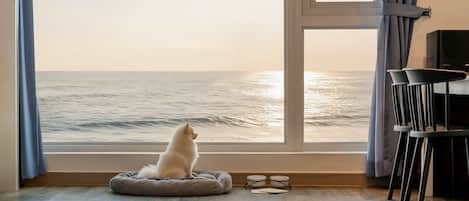 Basic Room, 1 Bedroom (Room 203 (Ocean View)) | 1 bedroom, WiFi (free)