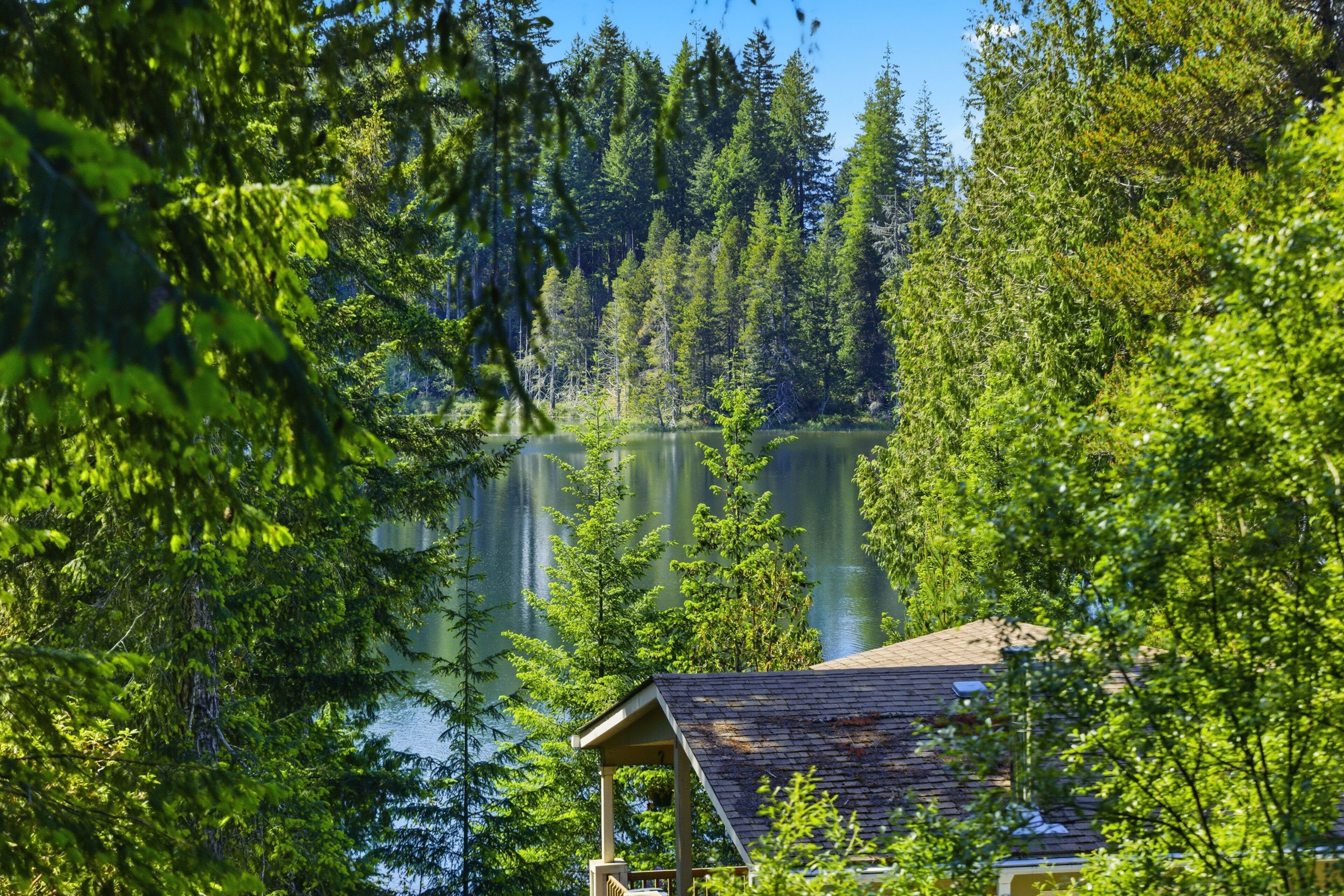 Una baita con vista su un lago circondato da una fitta foresta.