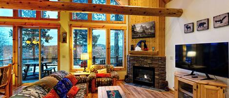 Una televisión, una chimenea, un reproductor de DVD, libros