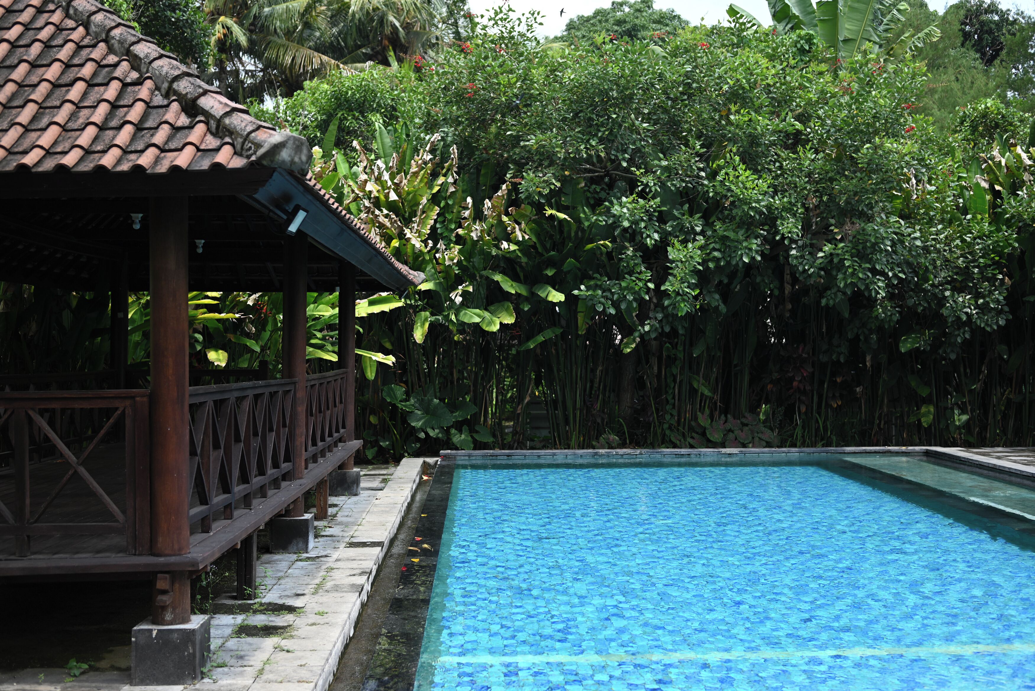 A rectangular swimming pool with a tiled deck area adjacent to it.