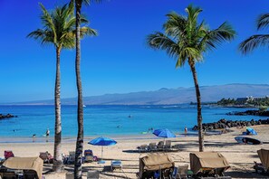 A beach with palm trees, beach chairs, and umbrellas. - Ocean View Getaway - Beach Access (Waimea)