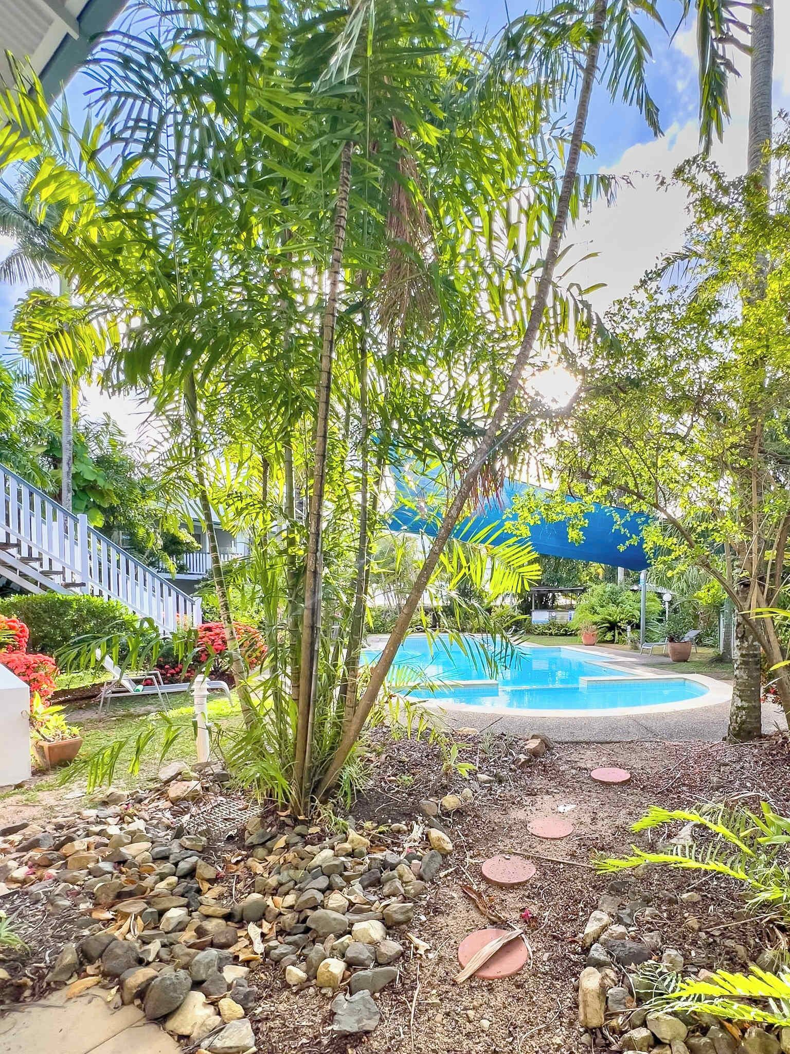 A pool area with a blue umbrella, surrounded by tropical plants and a stone pathway.