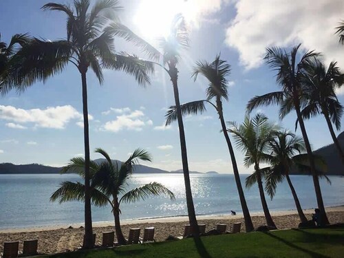 Poolside Whitsundays Apartment with Garden View