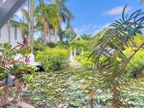 Àrea exterior de l'allotjament