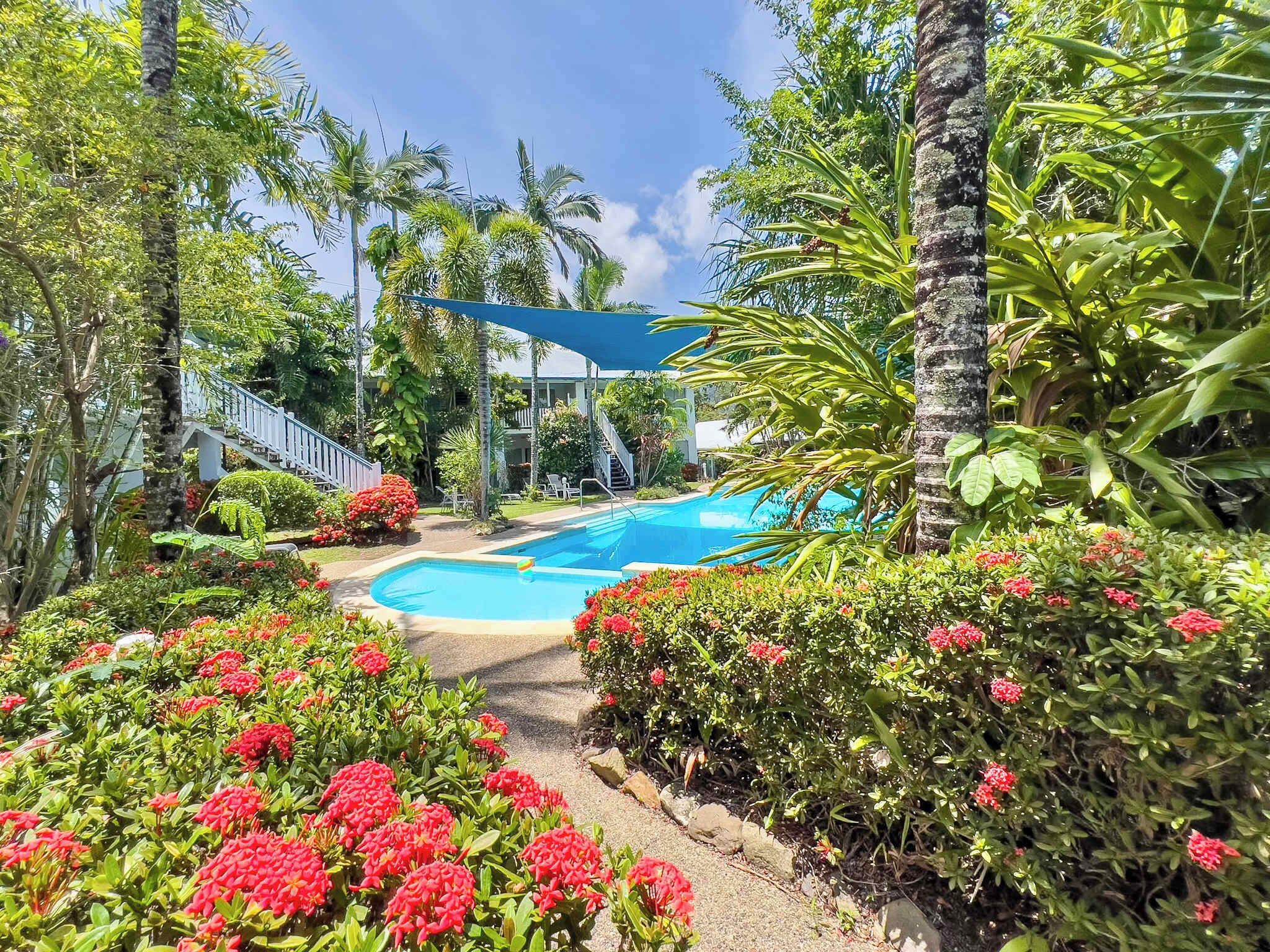 Ein von üppigem Grün und roten Blumen umgebener Pool, mit einer Treppe, die zu einem Gebäude hinaufführt.