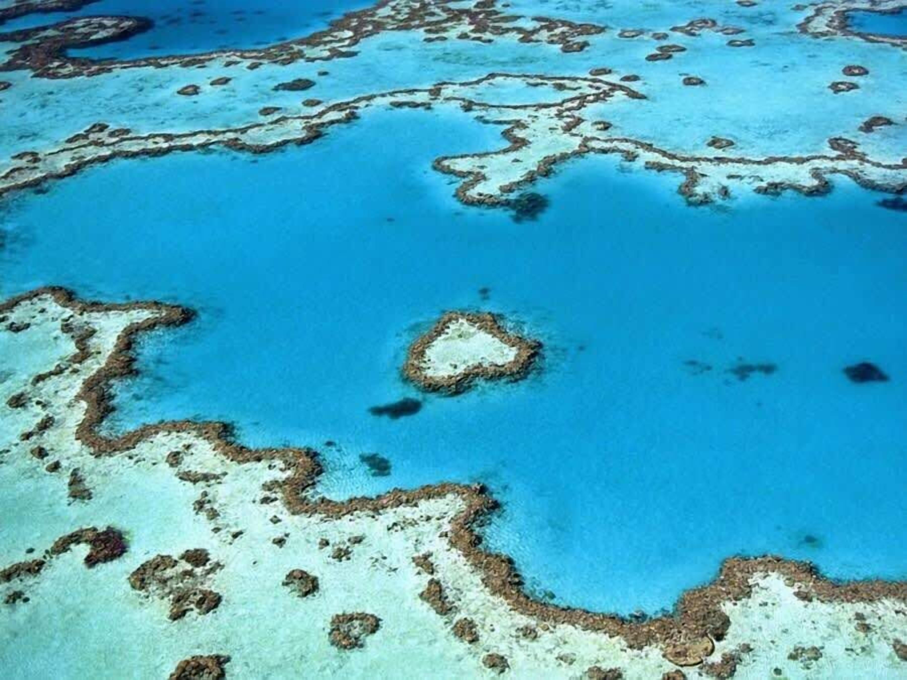 Vista aérea de un arrecife de coral con aguas azules cristalinas y numerosas islas pequeñas.