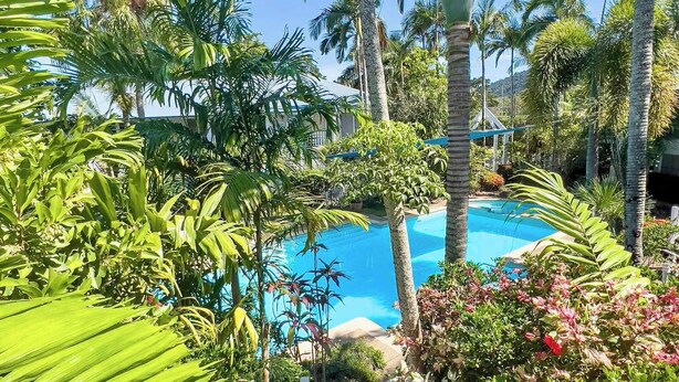 A pool area with a staircase leading down to a pool, surrounded by palm trees and tropical plants. - Poolside Garden Apt at Mango House, Whitsundays (Airlie Beach)