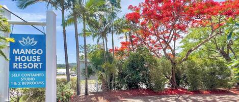 Jardines del alojamiento