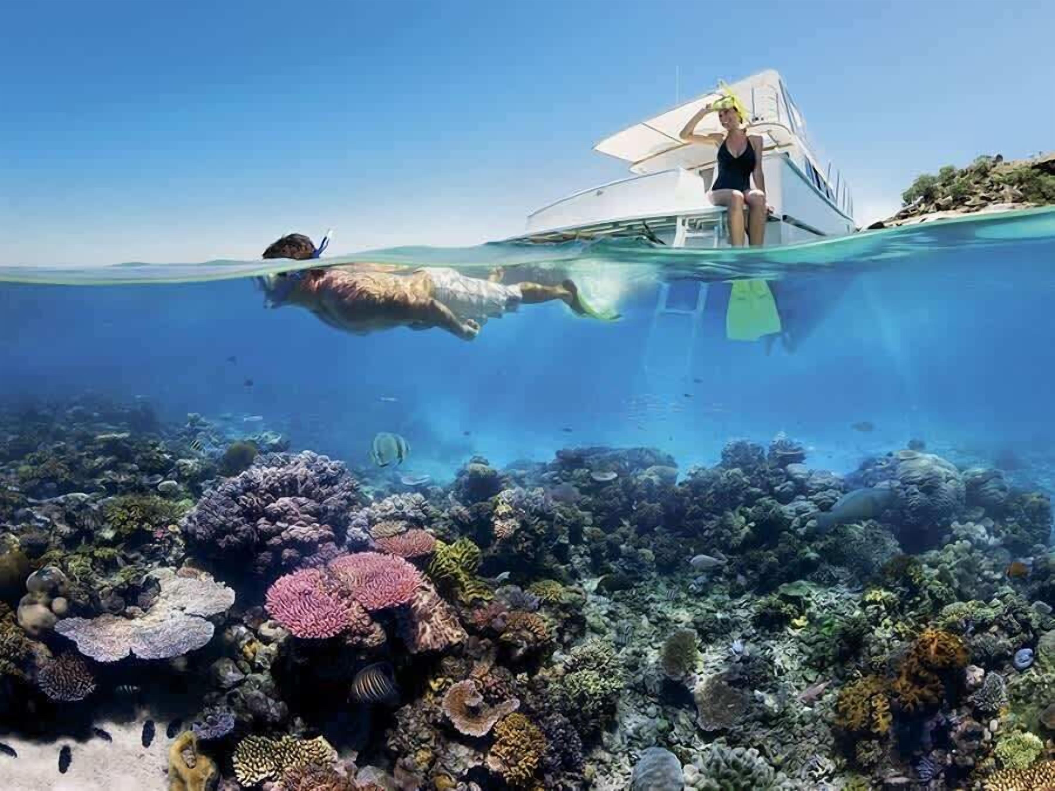 An underwater view of a boat with a person swimming nearby.