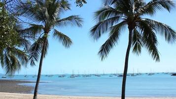 A beach with palm trees and boats in the water.
