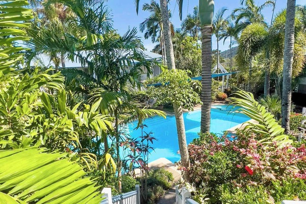 Mango house resort