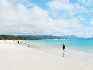 Beach - Whitsundays Mango House Poolside Retreat (Airlie Beach)