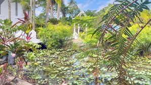 Ein tropischer Garten mit Teich, Palmen und verschiedenen Pflanzen.